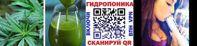 Canna-Cookies марихуана  Омутнинск 