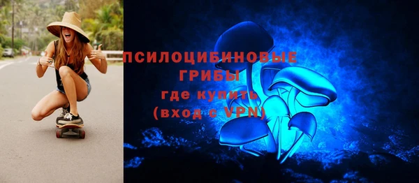 метадон Арсеньев