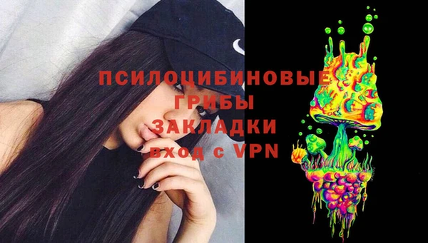 метадон Арсеньев