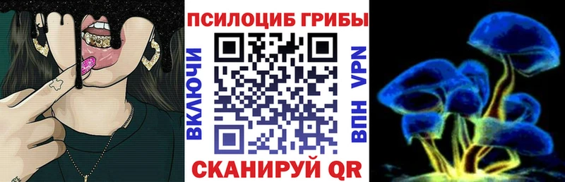 Псилоцибиновые грибы мицелий  где продают наркотики  Омутнинск 